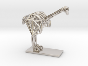 Ostrich (Young) in Platinum