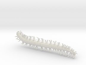 dargon millipede worm in White Natural Versatile Plastic: Medium