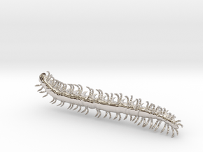 dargon millipede worm in Rhodium Plated Brass: Extra Small