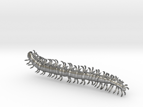 dargon millipede worm in Natural Silver: Extra Small