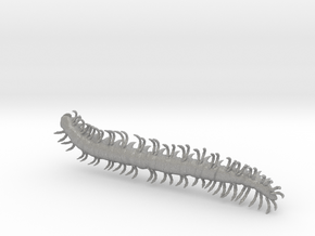 dargon millipede worm in Aluminum: Extra Small