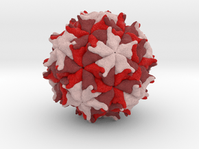 Nodamura Virus in Full Color Sandstone