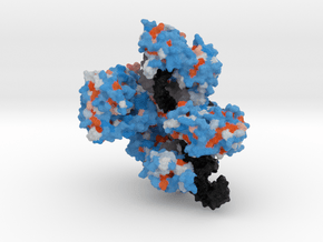 CRISPR-Cas9 in Natural Full Color Sandstone