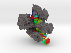 CRISPR-Cas9 (Various Sizes) in Natural Full Color Sandstone: Medium