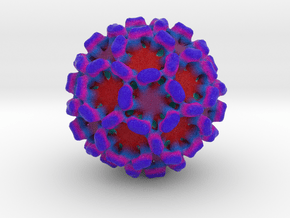 Sapovirus in Natural Full Color Sandstone