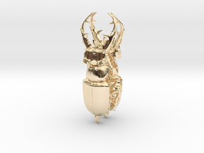 Stag beetle with open jaws  in 14K Yellow Gold