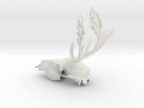 Rite of Spring- Deer Skull in White Natural Versatile Plastic