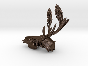 Rite of Spring- Deer Skull in Polished Bronze Steel