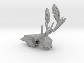Rite of Spring- Deer Skull in Aluminum