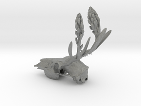Rite of Spring- Deer Skull in Gray PA12