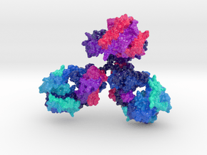 Immunoglobulin Antibody (Large) in Glossy Full Color Sandstone