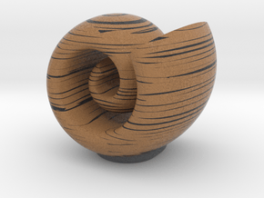 wood grain cochlea in Full Color Sandstone