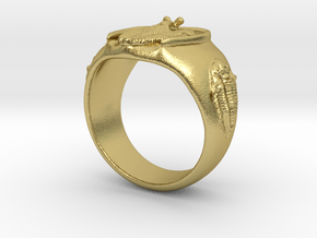 Trilobite Fossil Ring in Natural Brass