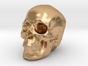 Skull 3DXS in Natural Bronze