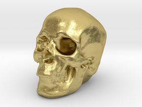 Skull 3DXS in Natural Brass