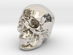 Skull 3DXS in Rhodium Plated Brass