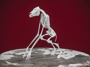 Tikbalang Skeleton in White Natural Versatile Plastic
