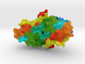 CRISPR Cmr7 in Natural Full Color Sandstone