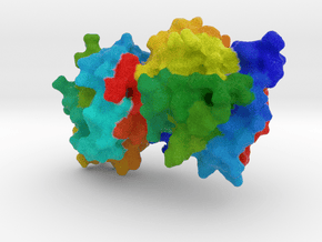 CRISPR Cmr5 in Natural Full Color Sandstone