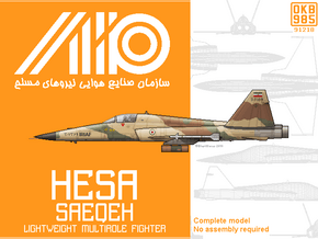 Northrop/HESA Saeqeh (Thunderbolt) Fighter in Black Natural Versatile Plastic: 1:144