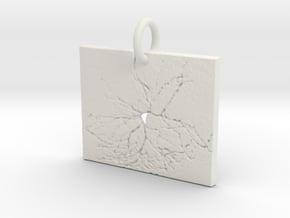 Virtual Neuron in White Natural Versatile Plastic: Extra Small