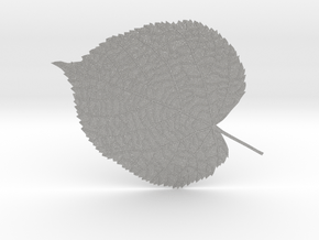 Tilia tree leaf (linden leaf) in Aluminum