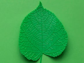 Tilia tree leaf (linden leaf) in Tan Fine Detail Plastic
