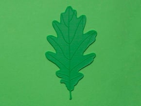 Oak tree leaf in Tan Fine Detail Plastic