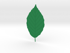 Beech tree leaf in Green Processed Versatile Plastic