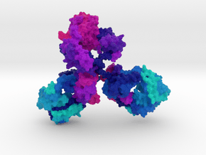 Immunoglobulin Antibody in Natural Full Color Sandstone