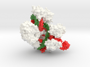 CRISPR-Cas9 (Special Order) in Glossy Full Color Sandstone