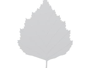 Birch tree leaf in Tan Fine Detail Plastic