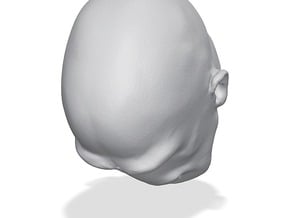 Morph One:12 Head #2 in Tan Fine Detail Plastic