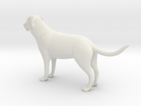 Printle Animal Mastiff - 1/24 in White Natural Versatile Plastic