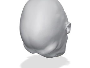 Morph One:12 Head #4 in Tan Fine Detail Plastic