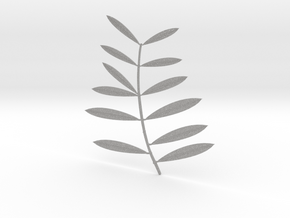 Olive tree branch in Aluminum: Extra Small