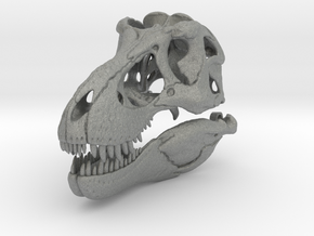 Tyrannosaurus skull - dinosaur model in Gray PA12: 1:10