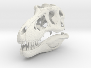 Tyrannosaurus skull - dinosaur model in White Natural Versatile Plastic: 1:12