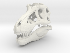 Tyrannosaurus skull - dinosaur model in White Natural Versatile Plastic: 1:24