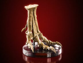 Tyrannosaurus - dinosaur foot replica in White Natural Versatile Plastic: 1:20