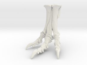 Tyrannosaurus - dinosaur foot replica in White Natural Versatile Plastic: 1:12