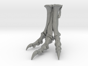 Tyrannosaurus - dinosaur foot replica in Gray PA12: 1:12