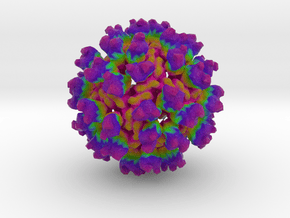Rous Sarcoma Virus    in Full Color Sandstone