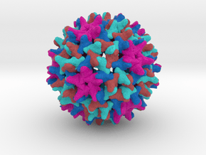 Hepatitis B in Full Color Sandstone