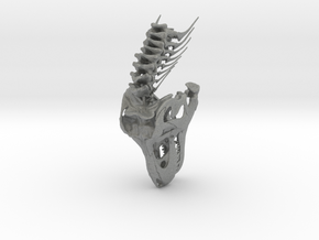 Tyrannosaurus - dinosaur skull and neck vertebrae in Gray PA12: 1:20