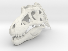 Tyrannosaurus - dinosaur skull and neck vertebrae in White Natural Versatile Plastic: 1:24