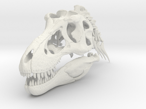Tyrannosaurus - dinosaur skull and neck vertebrae in White Natural Versatile Plastic: 1:12