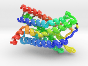 C-C Chemokine Receptor 5 (Large) in Glossy Full Color Sandstone