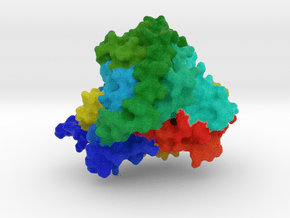 CYP1A2 Protein in Natural Full Color Sandstone