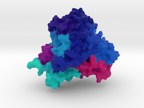 CYP1A2 Protein in Natural Full Color Sandstone